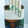 Winston Wild Mint Menthol